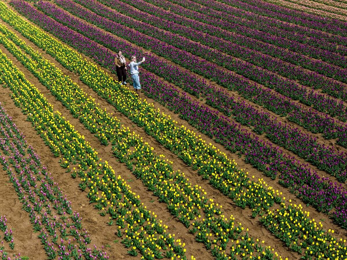 Konya’dan günübirlik kaçanlar çok! Ünlü lale cenneti ziyaretçilerini bekliyor 15